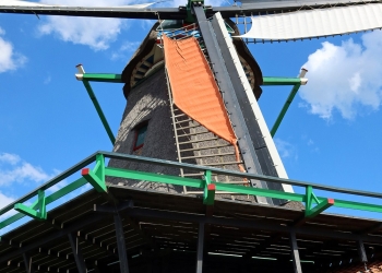 Frans 146